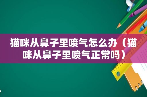 猫咪从鼻子里喷气怎么办（猫咪从鼻子里喷气正常吗）