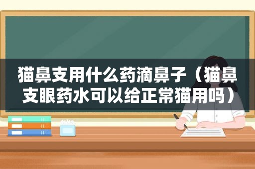 猫鼻支用什么药滴鼻子（猫鼻支眼药水可以给正常猫用吗）