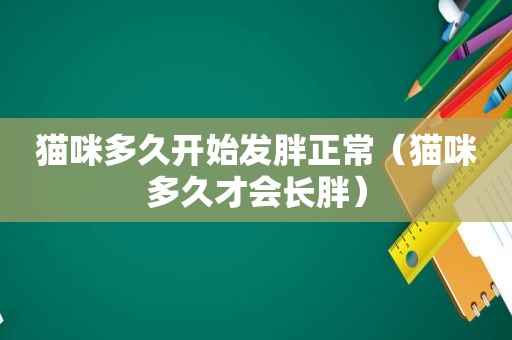 猫咪多久开始发胖正常（猫咪多久才会长胖）