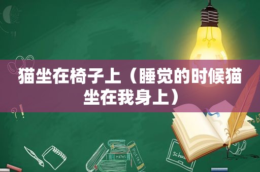 猫坐在椅子上（睡觉的时候猫坐在我身上）