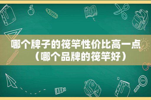 哪个牌子的筏竿性价比高一点（哪个品牌的筏竿好）