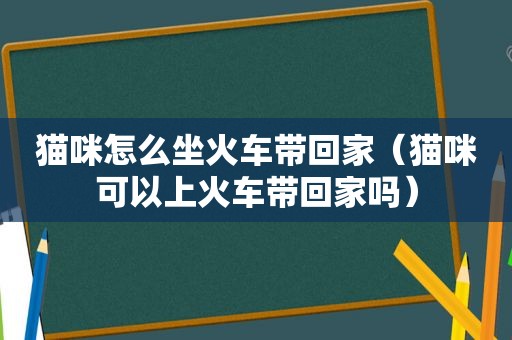 猫咪怎么坐火车带回家（猫咪可以上火车带回家吗）