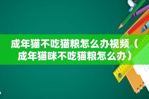 成年猫不吃猫粮怎么办视频（成年猫咪不吃猫粮怎么办）