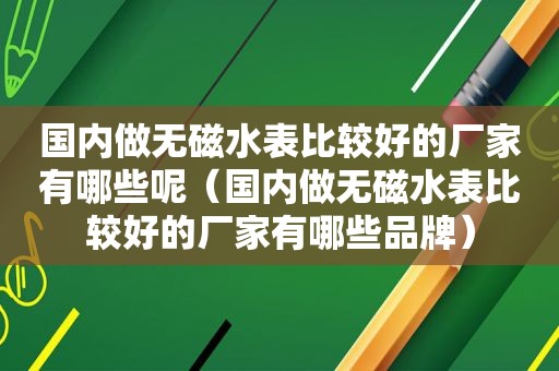 国内做无磁水表比较好的厂家有哪些呢（国内做无磁水表比较好的厂家有哪些品牌）