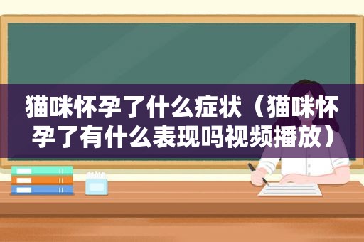 猫咪怀孕了什么症状（猫咪怀孕了有什么表现吗视频播放）