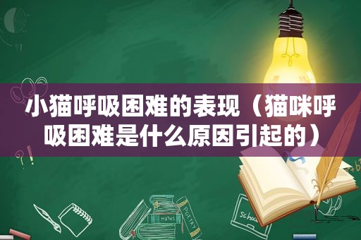 小猫呼吸困难的表现（猫咪呼吸困难是什么原因引起的）