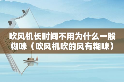 吹风机长时间不用为什么一股糊味（吹风机吹的风有糊味）