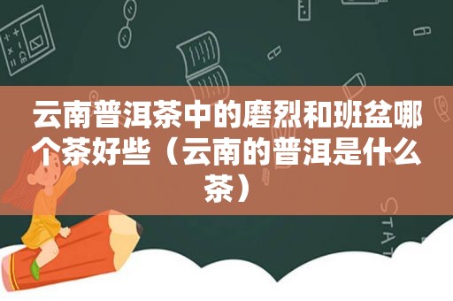 云南普洱茶中的磨烈和班盆哪个茶好些（云南的普洱是什么茶）