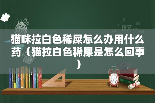 猫咪拉白色稀屎怎么办用什么药（猫拉白色稀屎是怎么回事）