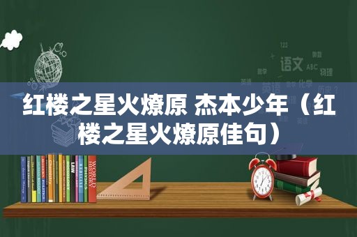 红楼之星火燎原 杰本少年（红楼之星火燎原佳句）