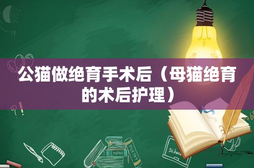 公猫做绝育手术后（母猫绝育的术后护理）