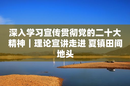 深入学习宣传贯彻党的二十大精神｜理论宣讲走进 夏镇田间地头