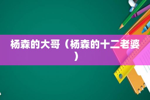 杨森的大哥（杨森的十二老婆）