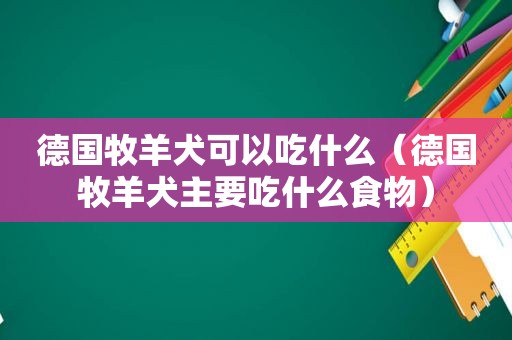 德国牧羊犬可以吃什么（德国牧羊犬主要吃什么食物）