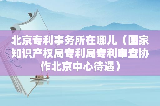 北京专利事务所在哪儿（国家知识产权局专利局专利审查协作北京中心待遇）