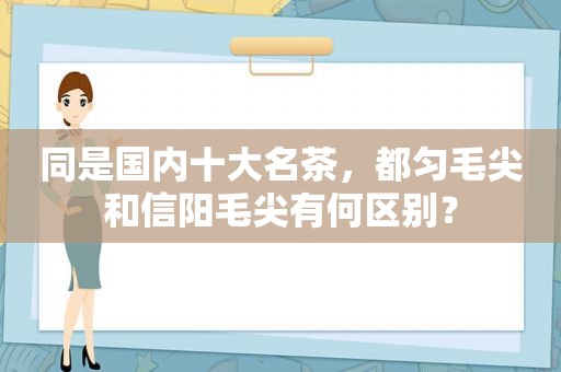 同是国内十大名茶，都匀毛尖和信阳毛尖有何区别？