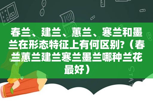 春兰、建兰、蕙兰、寒兰和墨兰在形态特征上有何区别?（春兰蕙兰建兰寒兰墨兰哪种兰花最好）