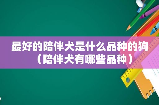 最好的陪伴犬是什么品种的狗（陪伴犬有哪些品种）