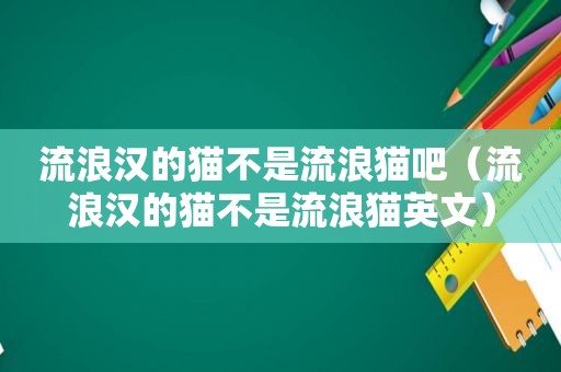 流浪汉的猫不是流浪猫吧（流浪汉的猫不是流浪猫英文）