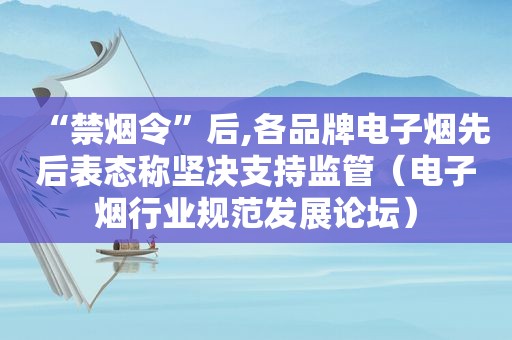 “禁烟令”后,各品牌电子烟先后表态称坚决支持监管（电子烟行业规范发展论坛）