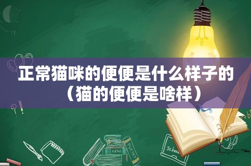 正常猫咪的便便是什么样子的（猫的便便是啥样）