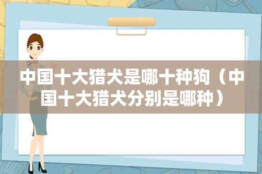 中国十大猎犬是哪十种狗（中国十大猎犬分别是哪种）