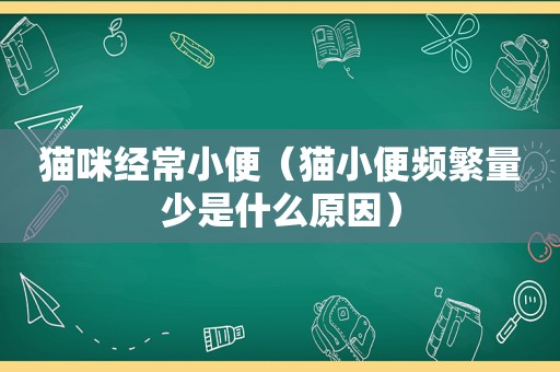 猫咪经常小便（猫小便频繁量少是什么原因）