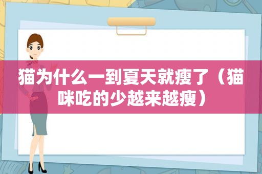 猫为什么一到夏天就瘦了（猫咪吃的少越来越瘦）