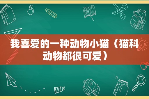 我喜爱的一种动物小猫（猫科动物都很可爱）