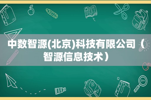 中数智源(北京)科技有限公司（智源信息技术）