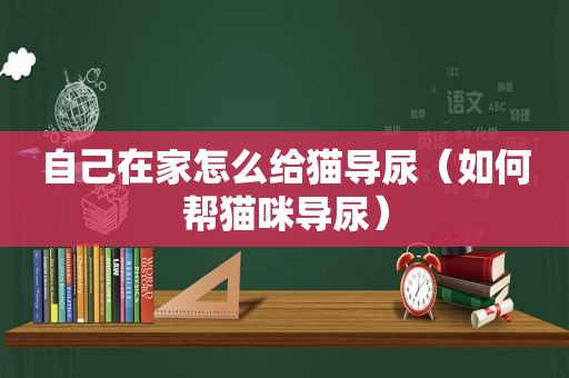 自己在家怎么给猫导尿（如何帮猫咪导尿）