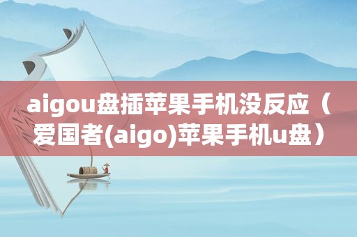 aigou盘插苹果手机没反应（爱国者(aigo)苹果手机u盘）