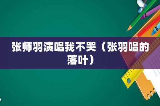 张师羽演唱我不哭（张羽唱的落叶）