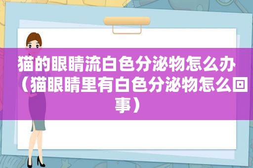 猫的眼睛流白色分泌物怎么办（猫眼睛里有白色分泌物怎么回事）