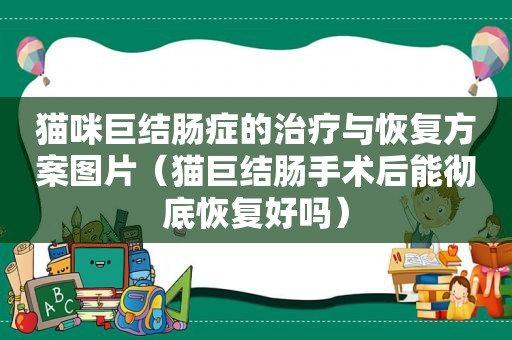 猫咪巨结肠症的治疗与恢复方案图片（猫巨结肠手术后能彻底恢复好吗）