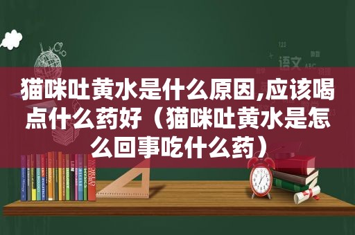 猫咪吐黄水是什么原因,应该喝点什么药好（猫咪吐黄水是怎么回事吃什么药）