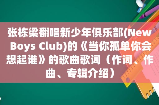 张栋梁翻唱新少年俱乐部(New Boys Club)的《当你孤单你会想起谁》的歌曲歌词（作词、作曲、专辑介绍）