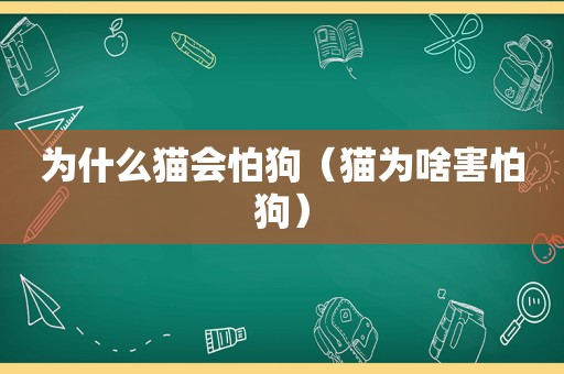 为什么猫会怕狗（猫为啥害怕狗）