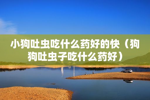 小狗吐虫吃什么药好的快（狗狗吐虫子吃什么药好）