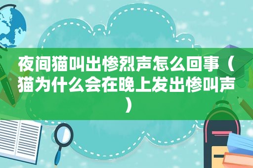 夜间猫叫出惨烈声怎么回事（猫为什么会在晚上发出惨叫声）