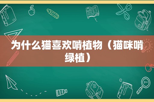 为什么猫喜欢啃植物（猫咪啃绿植）