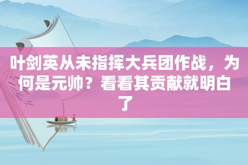  *** 从未指挥大兵团作战，为何是元帅？看看其贡献就明白了