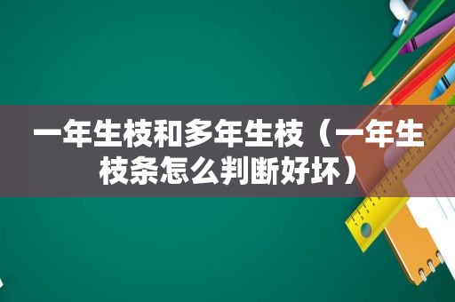 一年生枝和多年生枝（一年生枝条怎么判断好坏）