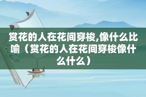 赏花的人在花间穿梭,像什么比喻（赏花的人在花间穿梭像什么什么）