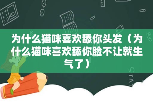 为什么猫咪喜欢舔你头发（为什么猫咪喜欢舔你脸不让就生气了）