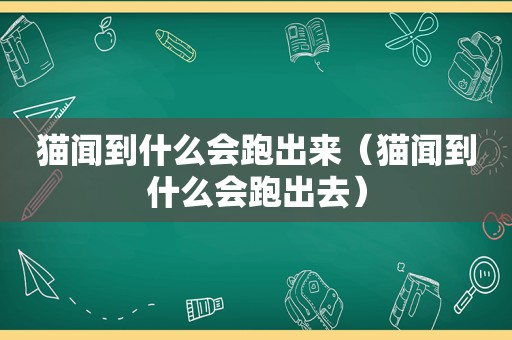 猫闻到什么会跑出来（猫闻到什么会跑出去）