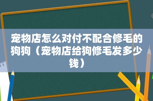 宠物店怎么对付不配合修毛的狗狗（宠物店给狗修毛发多少钱）