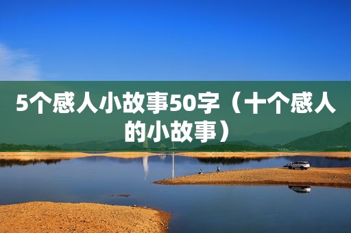 5个感人小故事50字（十个感人的小故事）