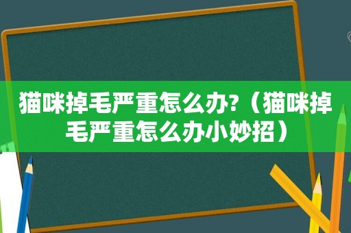 猫咪掉毛严重怎么办?（猫咪掉毛严重怎么办小妙招）