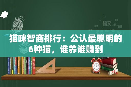 猫咪智商排行：公认最聪明的6种猫，谁养谁赚到